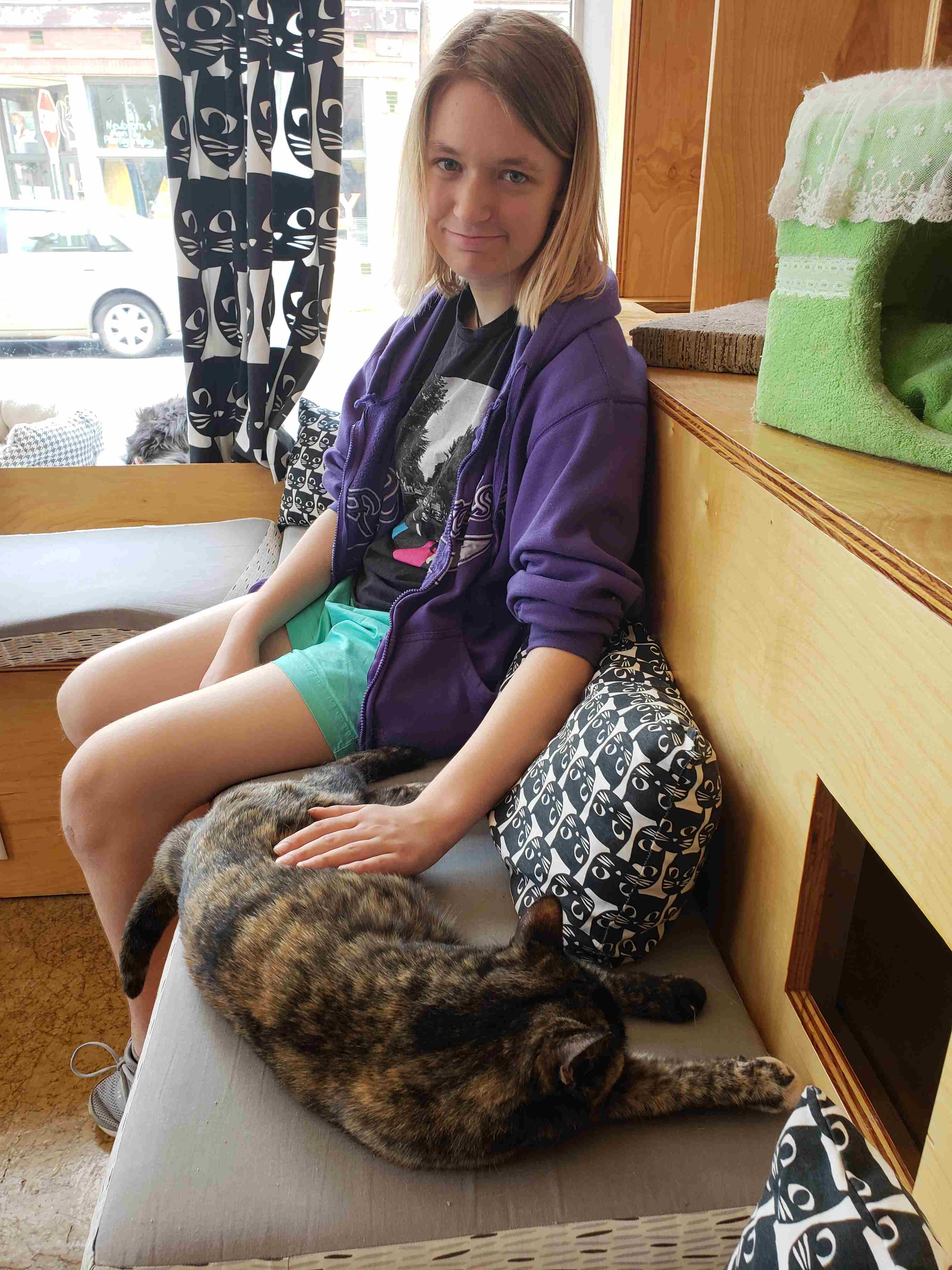 2018-05-27 Cat house Cate.jpg